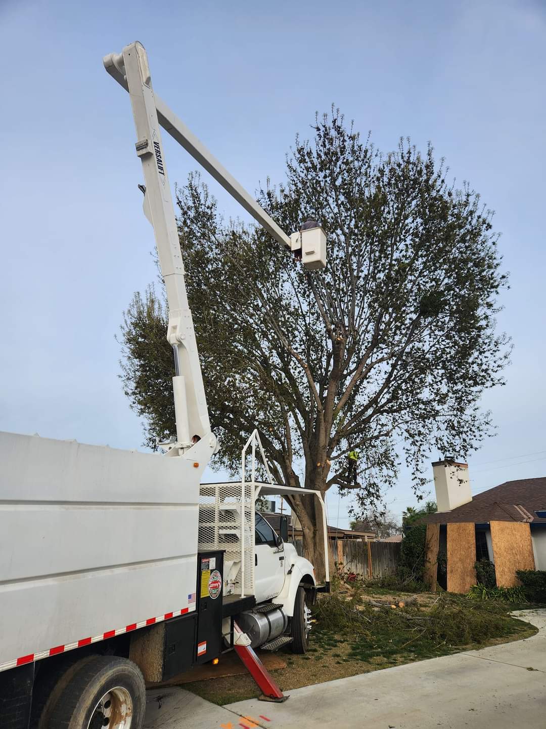 Johnny_s Tree Service truck bucket(1)