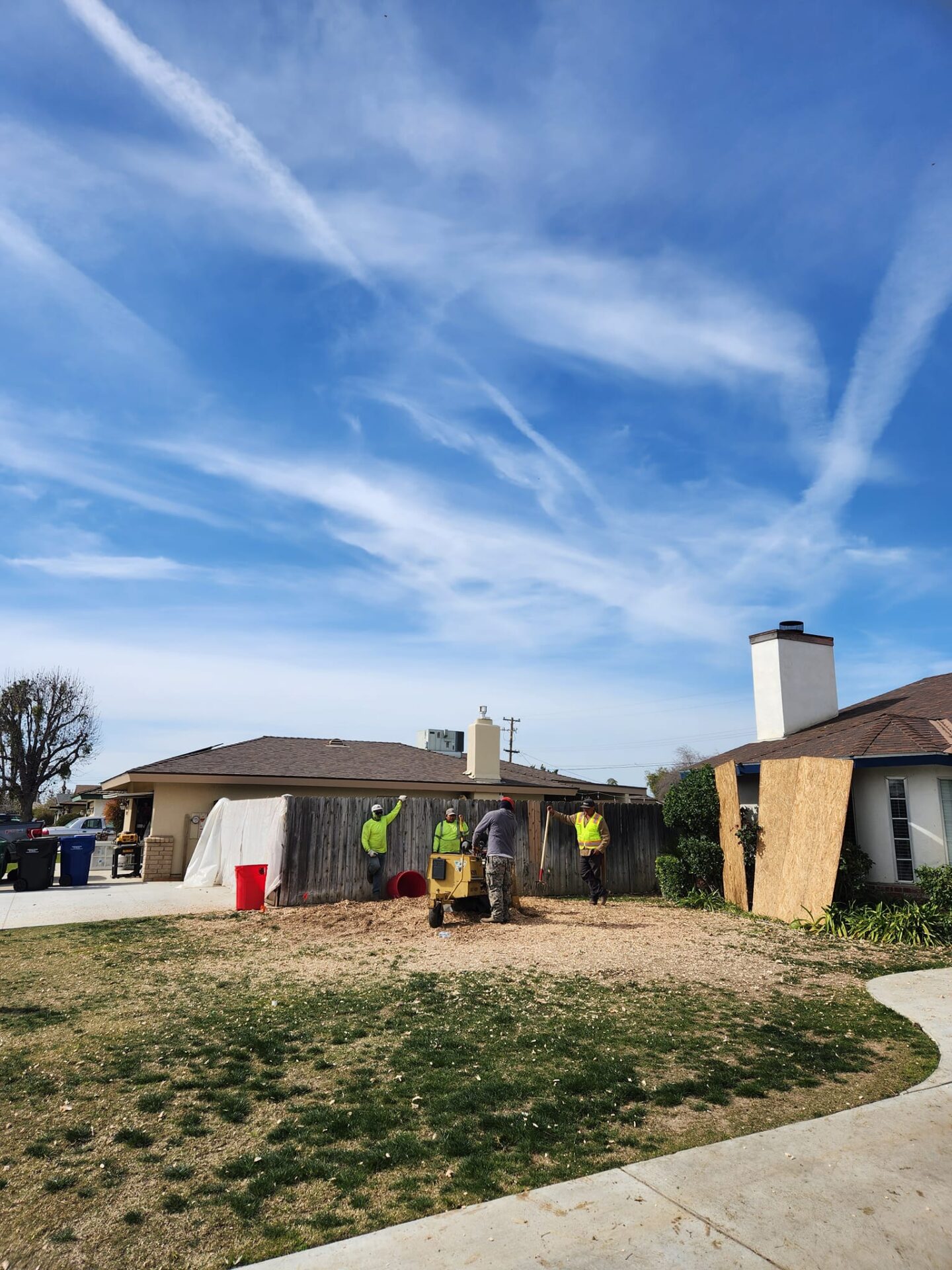 Stump Grinding process